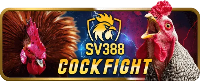 Đá Gà Thomo fabet88 nhà cái